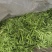 扁青芸豆，好通货，色绿荚长