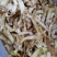 玉竹大货！产地直销大货！批发一手货源价格优！