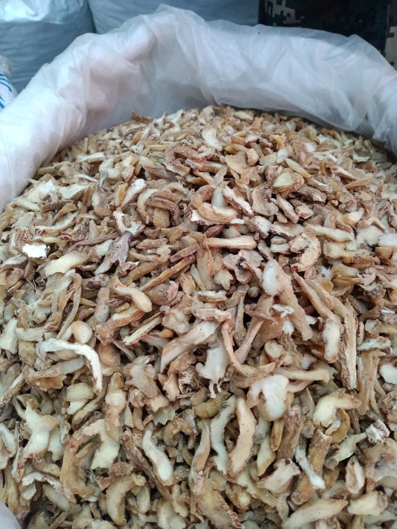 玉竹大货！产地直销大货！批发一手货源价格优！