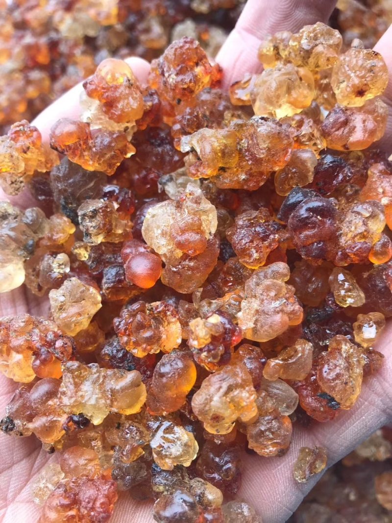 桃胶桃树脂桃花泪精选珍珠红黄胶雪燕皂角米组合云南产地批发