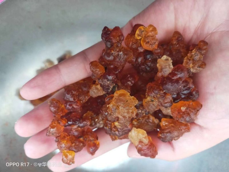 桃胶桃树脂桃花泪精选珍珠红黄胶雪燕皂角米组合云南产地批发