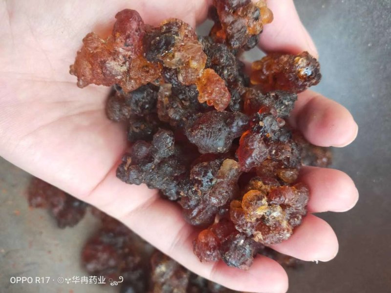桃胶桃树脂桃花泪精选珍珠红黄胶雪燕皂角米组合云南产地批发