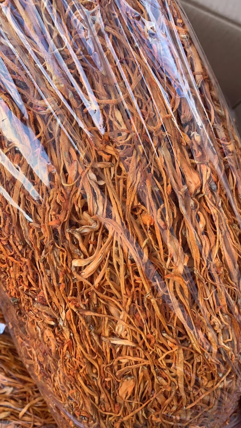 【爆款】原产地虫草花干货乱草两斤装可炒可凉拌
