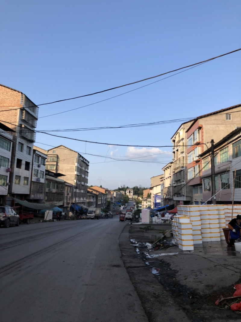 大竹县红油香椿