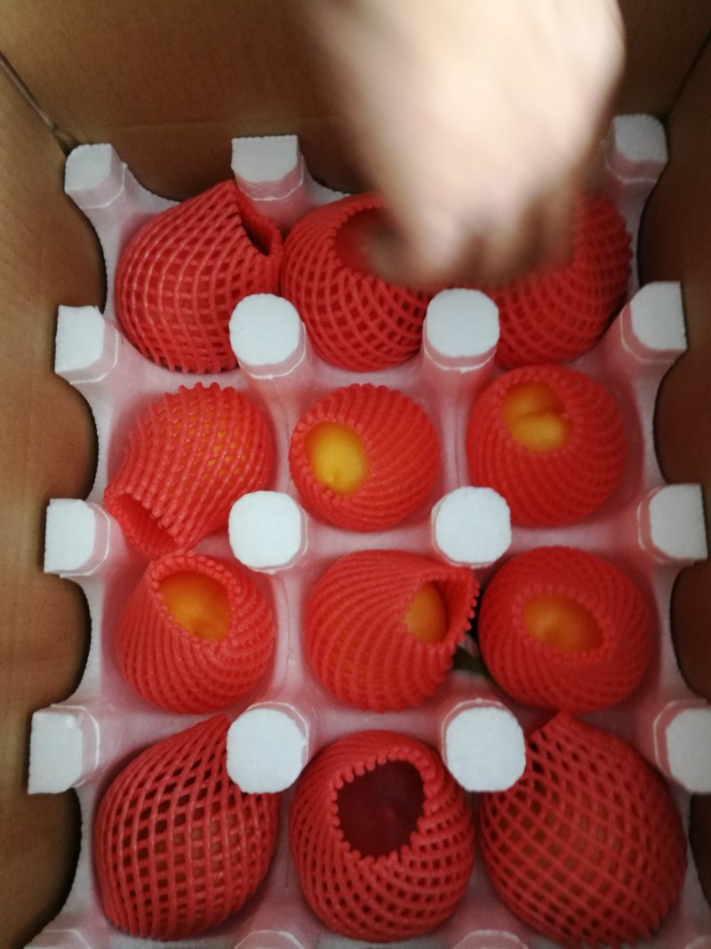 蒙阴蜜桃专业代发果园直发淘宝与直播平台需求应季水果