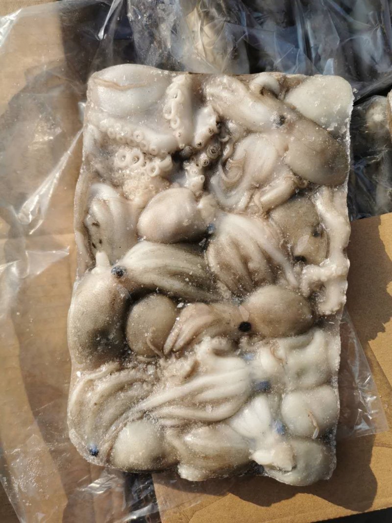 迷你小八爪