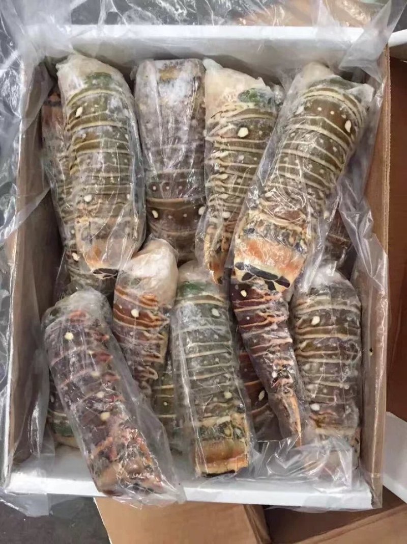 古巴龙虾尾，大虾尾纯肉虾尾