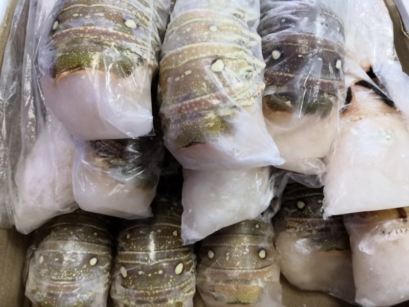 古巴龙虾尾，大虾尾纯肉虾尾