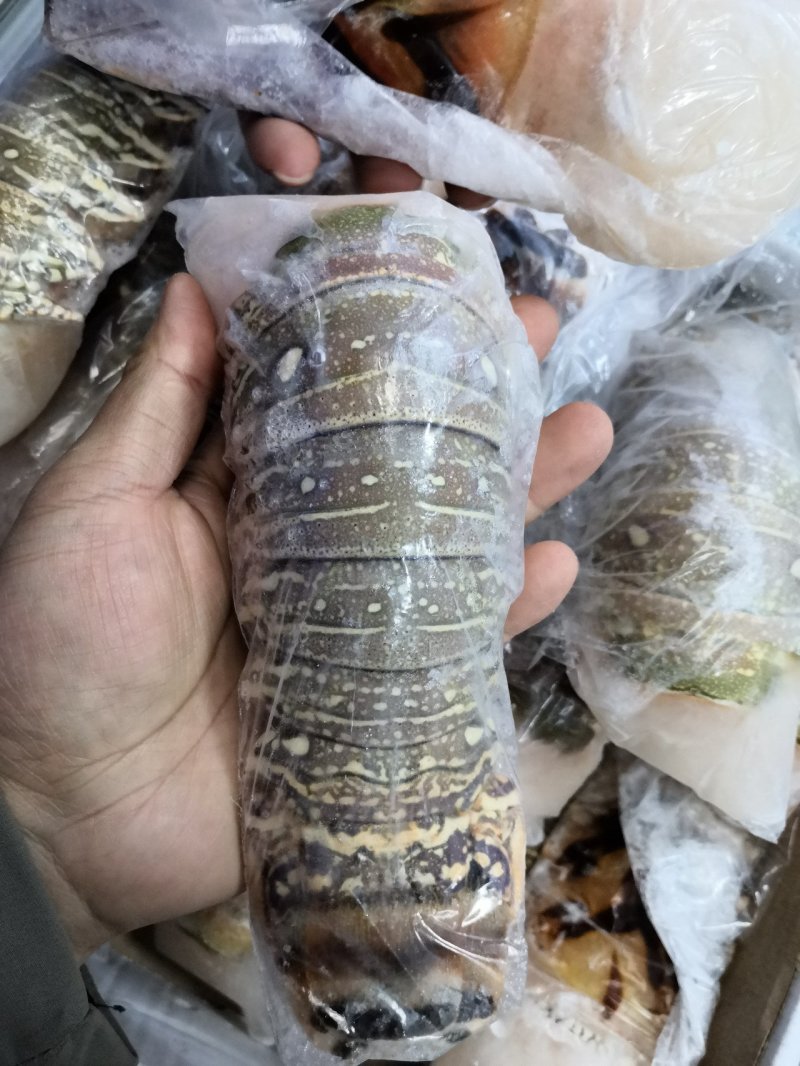 古巴龙虾尾，大虾尾纯肉虾尾