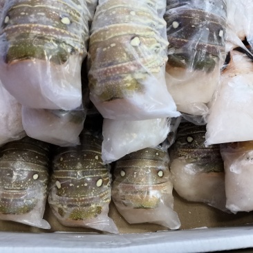古巴龙虾尾，大虾尾纯肉虾尾