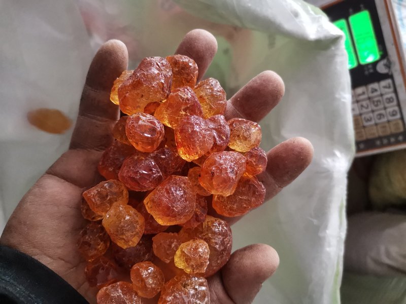精修桃胶（人工剪刀去黑修剪桃胶）