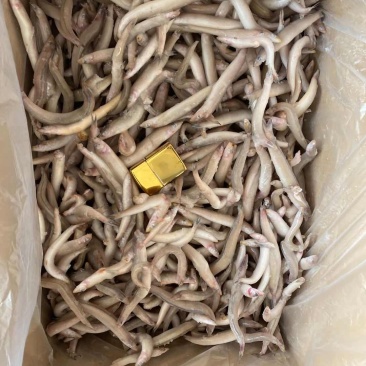 玉筋鱼