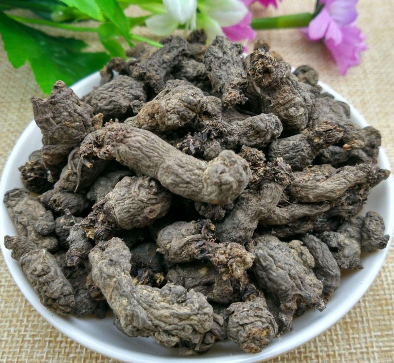 天葵子