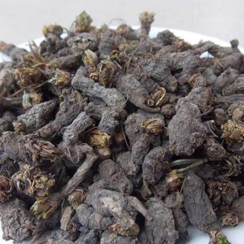 天葵子