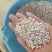 大量批发珍珠岩现货育苗基质培土栽花用珍珠岩颗粒
