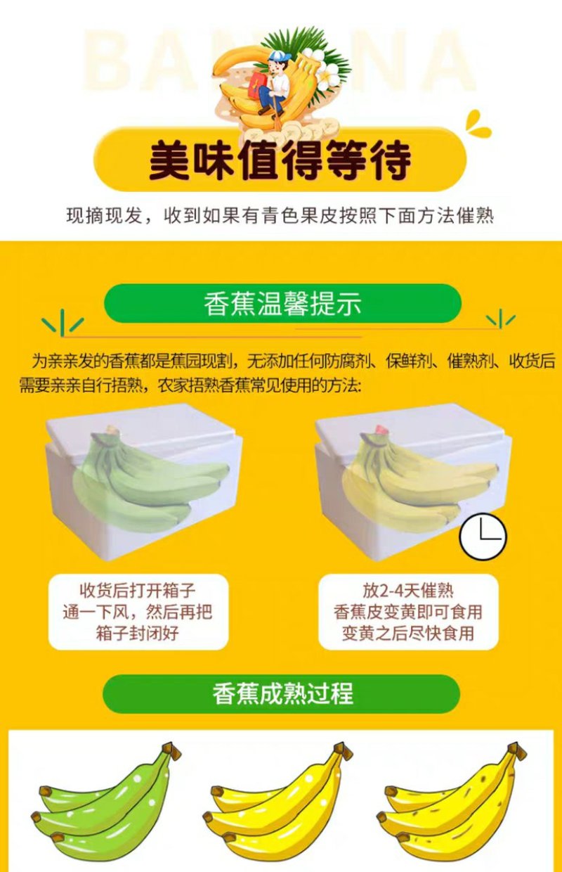 云南生态高地香蕉产地直供(电商微商平台代发)