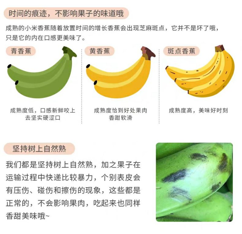 云南生态高地香蕉产地直供(电商微商平台代发)