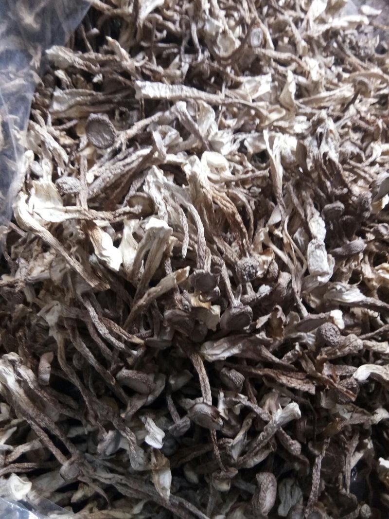 优质的鹿茸大量批发，欢迎来店选购各种规格都有，量大从优
