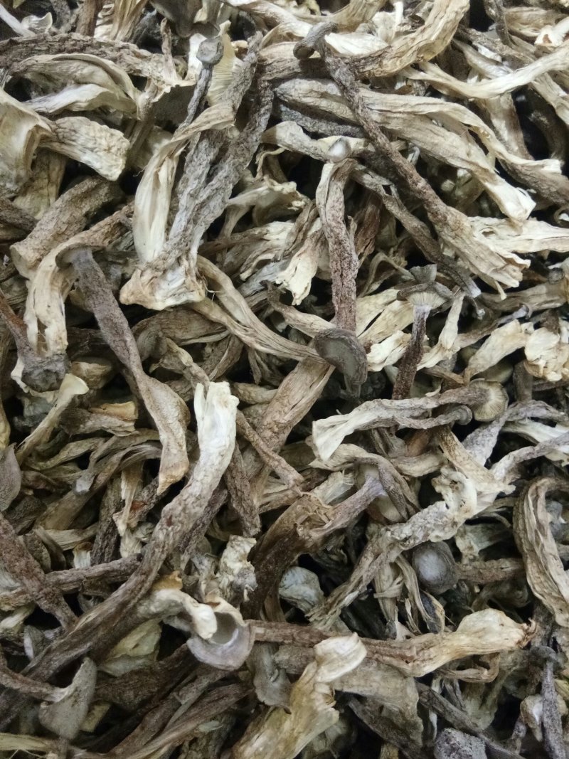 优质的鹿茸大量批发，欢迎来店选购各种规格都有，量大从优