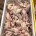 【品质现货】肉鸽精品鸽基地养殖量大从优欢迎咨询