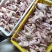 【品质现货】肉鸽精品鸽基地养殖量大从优欢迎咨询