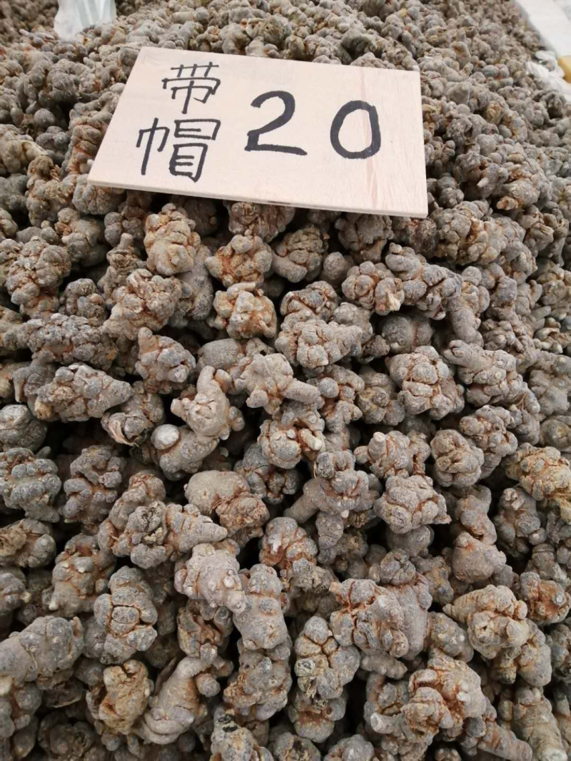 云南文山三七文山特产三七各种头数20头30头40头