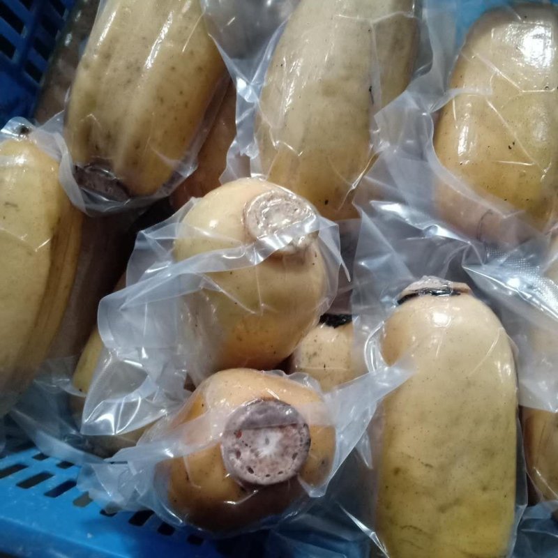 莲藕藕片批发