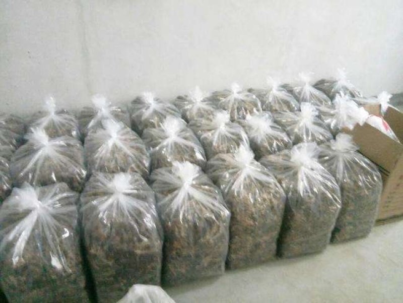 不开伞茶树菇干货福建特产一件10斤