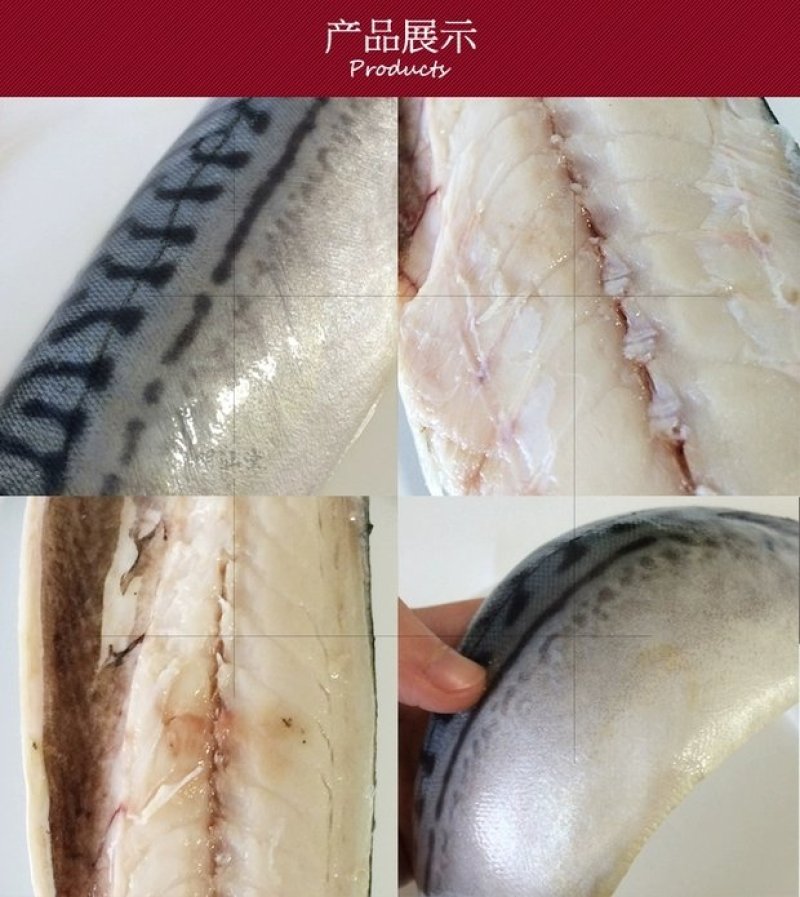 舟山船冻青占鱼马鲛鱼新鲜海鲜中大号冷冻青花鱼小头鱼鲐鲅鱼