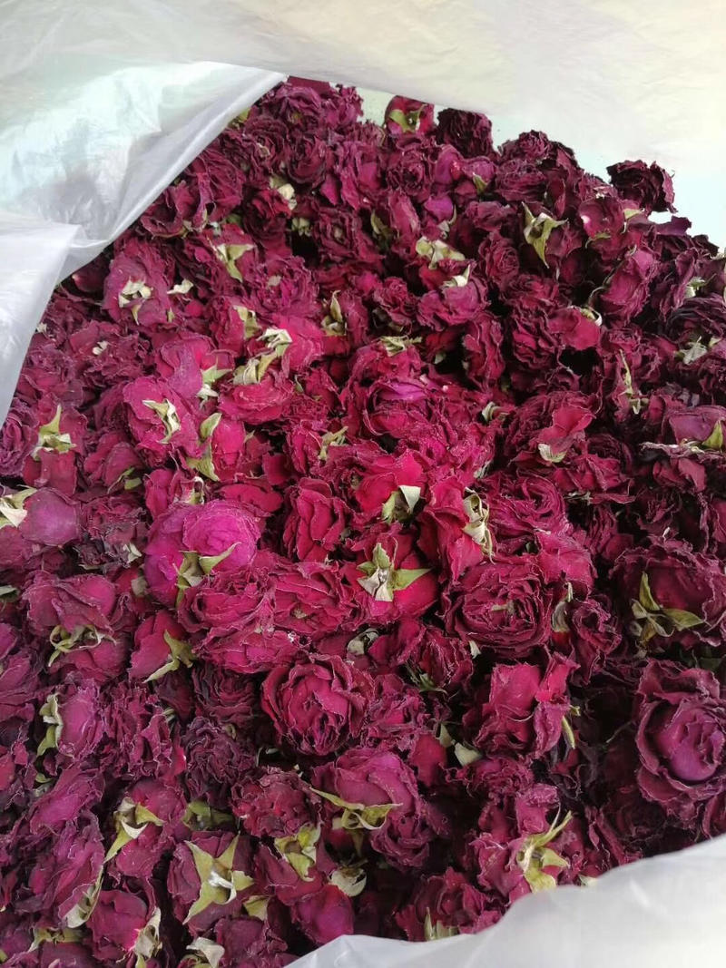 墨红玫瑰法国引进技术香味浓郁长期大货供