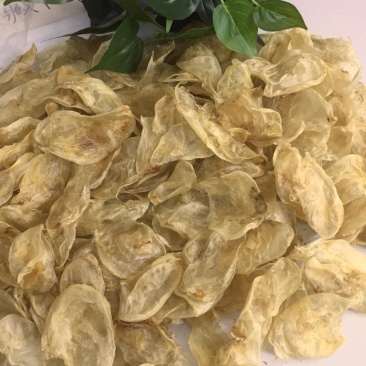 小米鱼胶，鸡蛋胶，菜胶，胶原蛋白丰富花胶冻