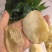 小米鱼胶，鸡蛋胶，菜胶，胶原蛋白丰富花胶冻