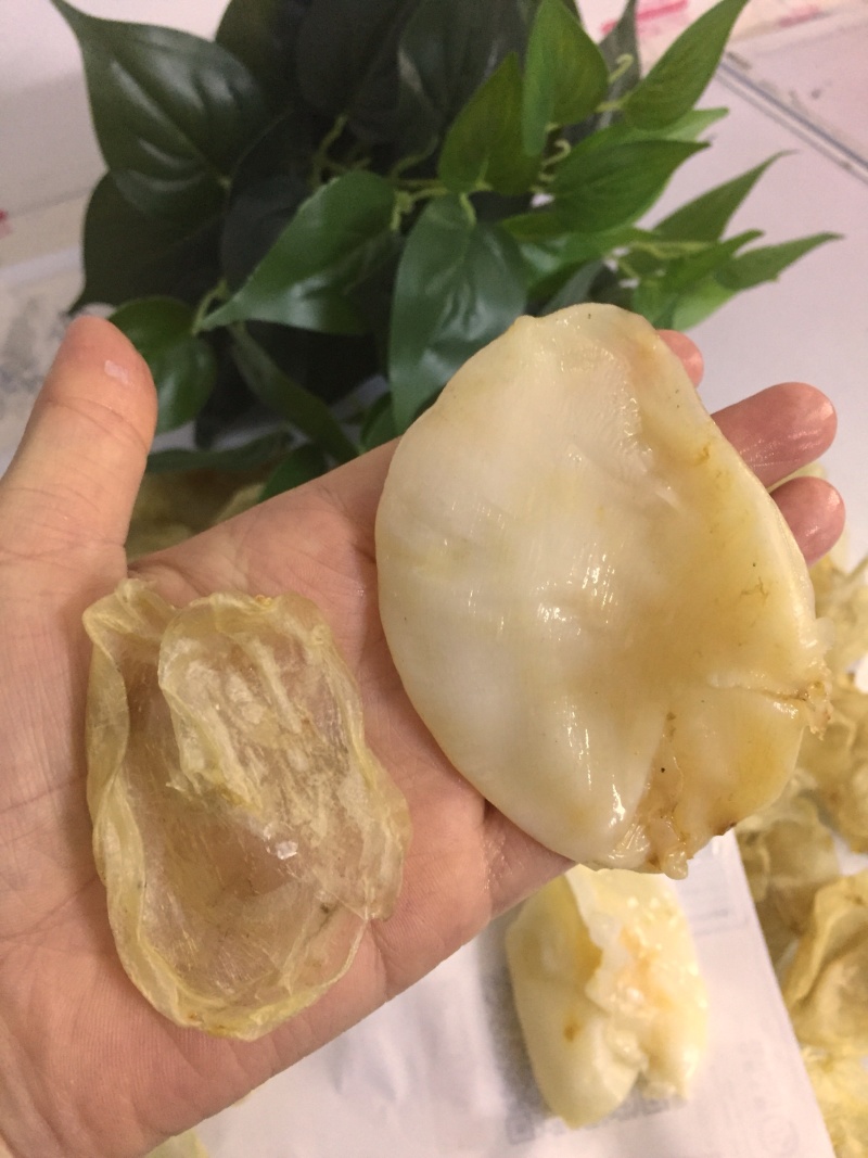 小米鱼胶，鸡蛋胶，菜胶，胶原蛋白丰富花胶冻