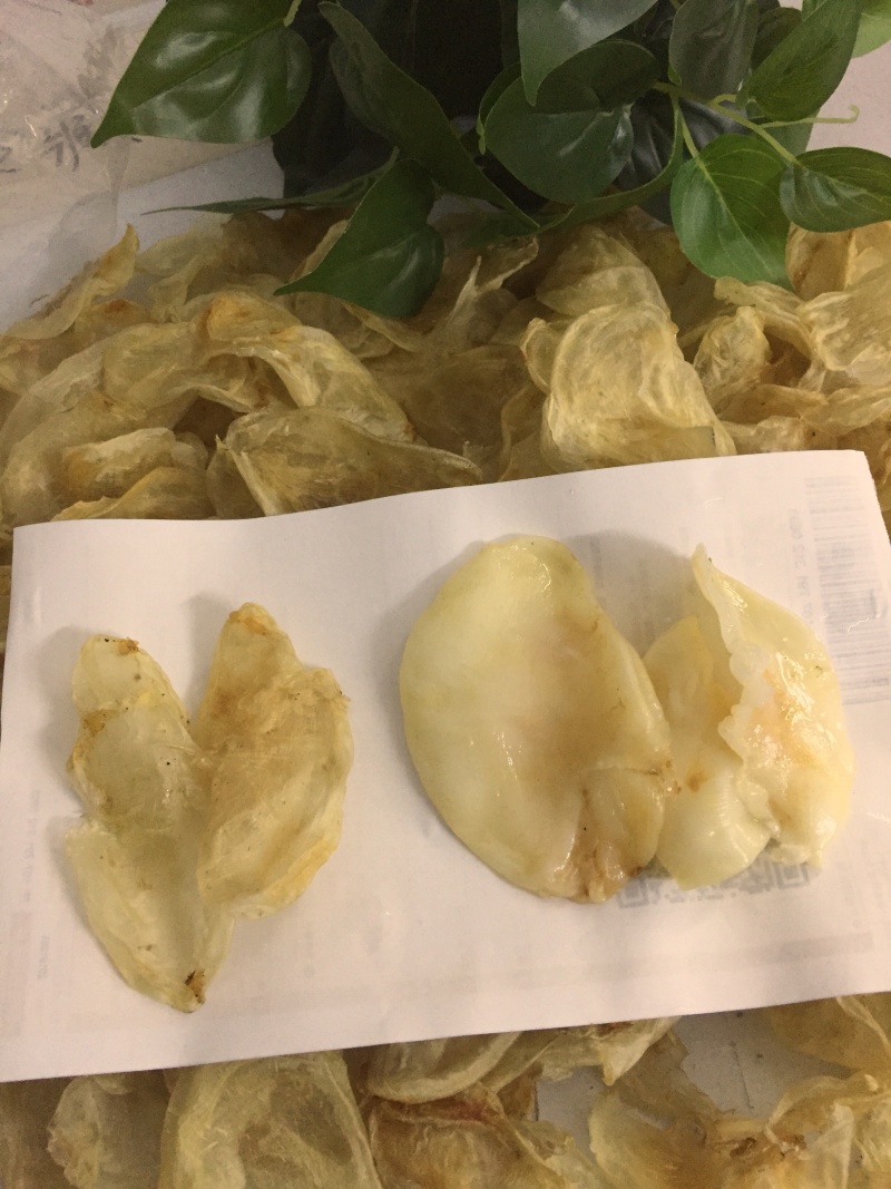 小米鱼胶，鸡蛋胶，菜胶，胶原蛋白丰富花胶冻