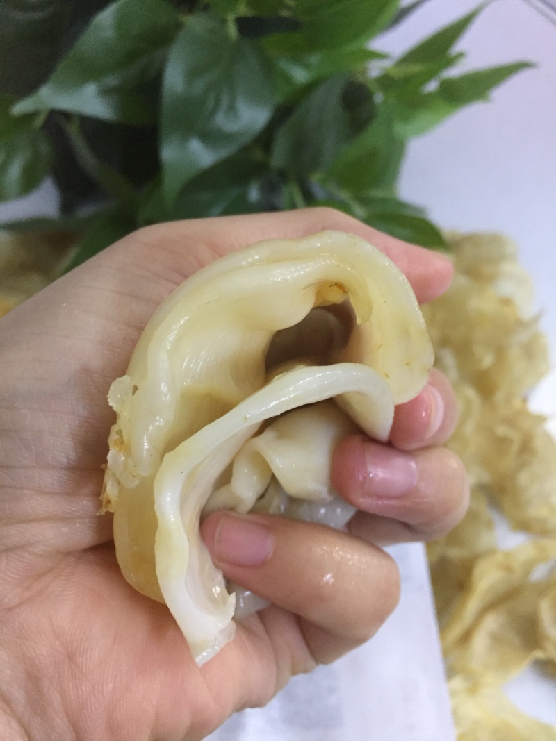 小米鱼胶，鸡蛋胶，菜胶，胶原蛋白丰富花胶冻