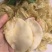 小米鱼胶，鸡蛋胶，菜胶，胶原蛋白丰富花胶冻