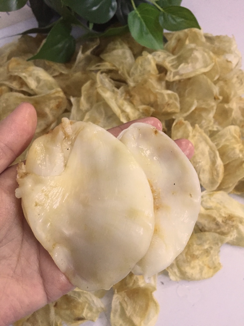 小米鱼胶，鸡蛋胶，菜胶，胶原蛋白丰富花胶冻