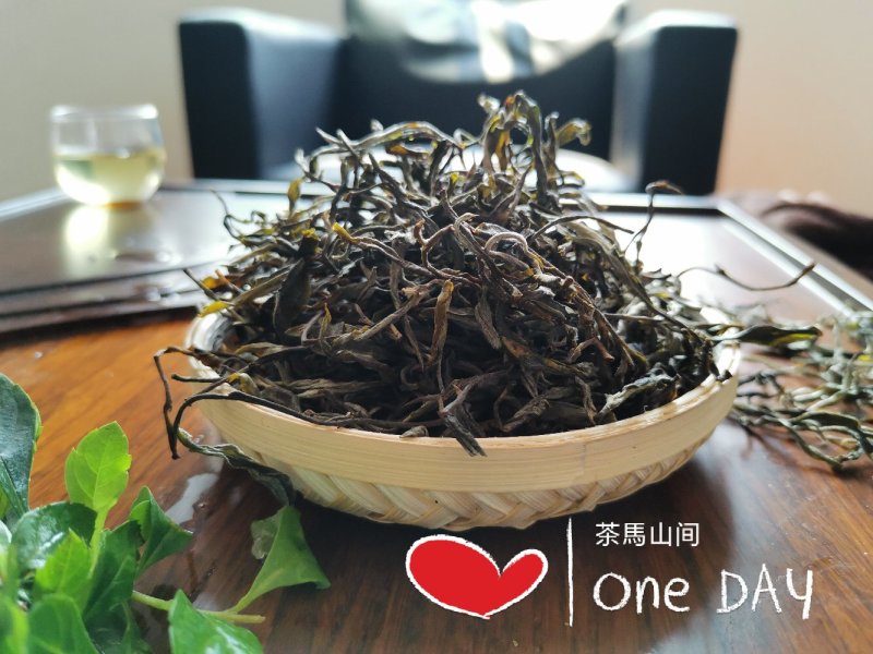 云南普洱茶无量山古树茶生态古茶绿茶散茶茶叶生茶