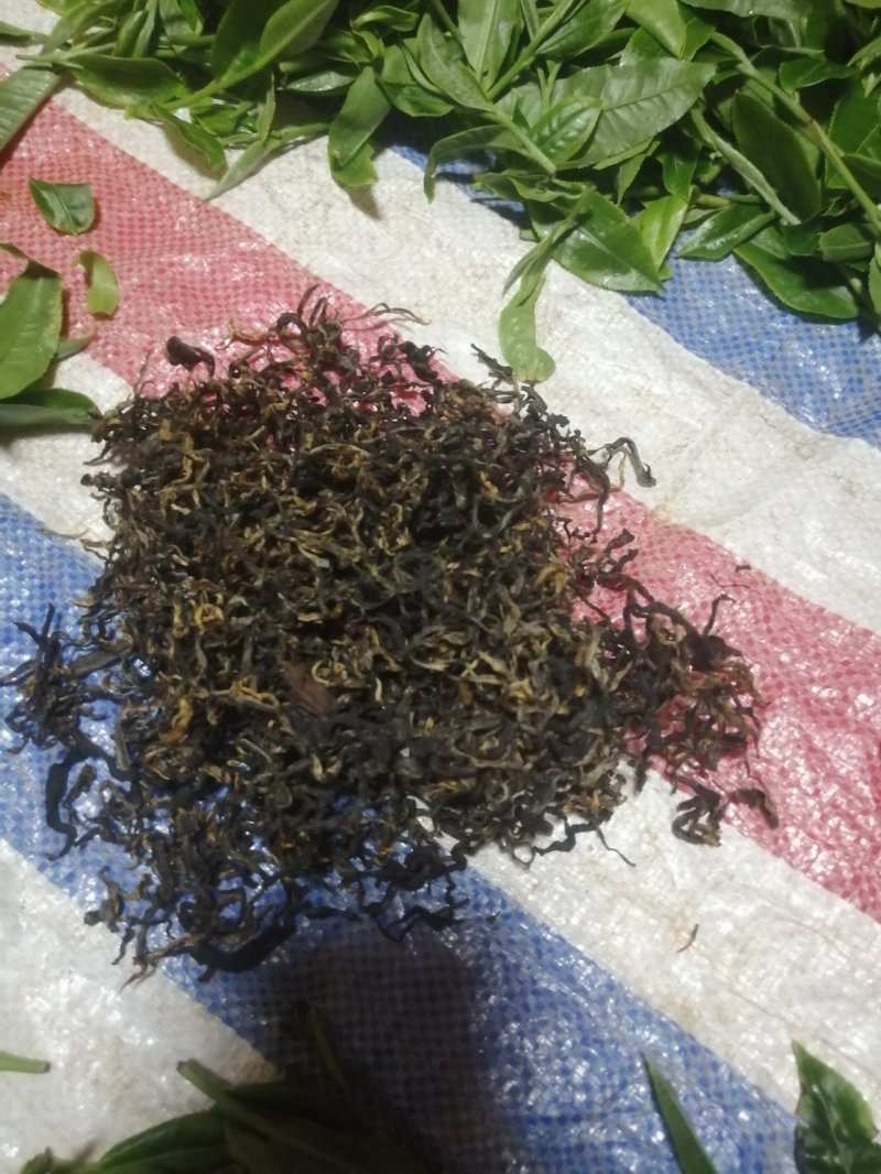 生态茶大树茶，云南腾冲高茶多酚