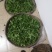 生态茶大树茶，云南腾冲高茶多酚