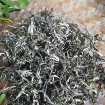 生态茶大树茶，云南腾冲高茶多酚