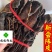 正品新会陈皮五年十年供应花茶看规格下单
