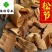 松节统货供应各种中药材中草药一公斤