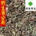 蒲公英干货野生公英新货颜色好供应大货