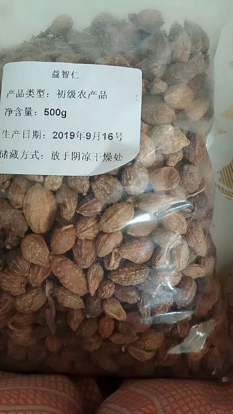 益智仁干品益智仁农产品中药材