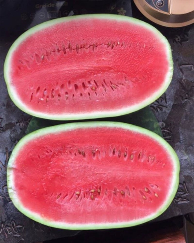 西瓜种子超甜懒汉王中熟花皮椭圆红心甜水果种子春季原装铁罐