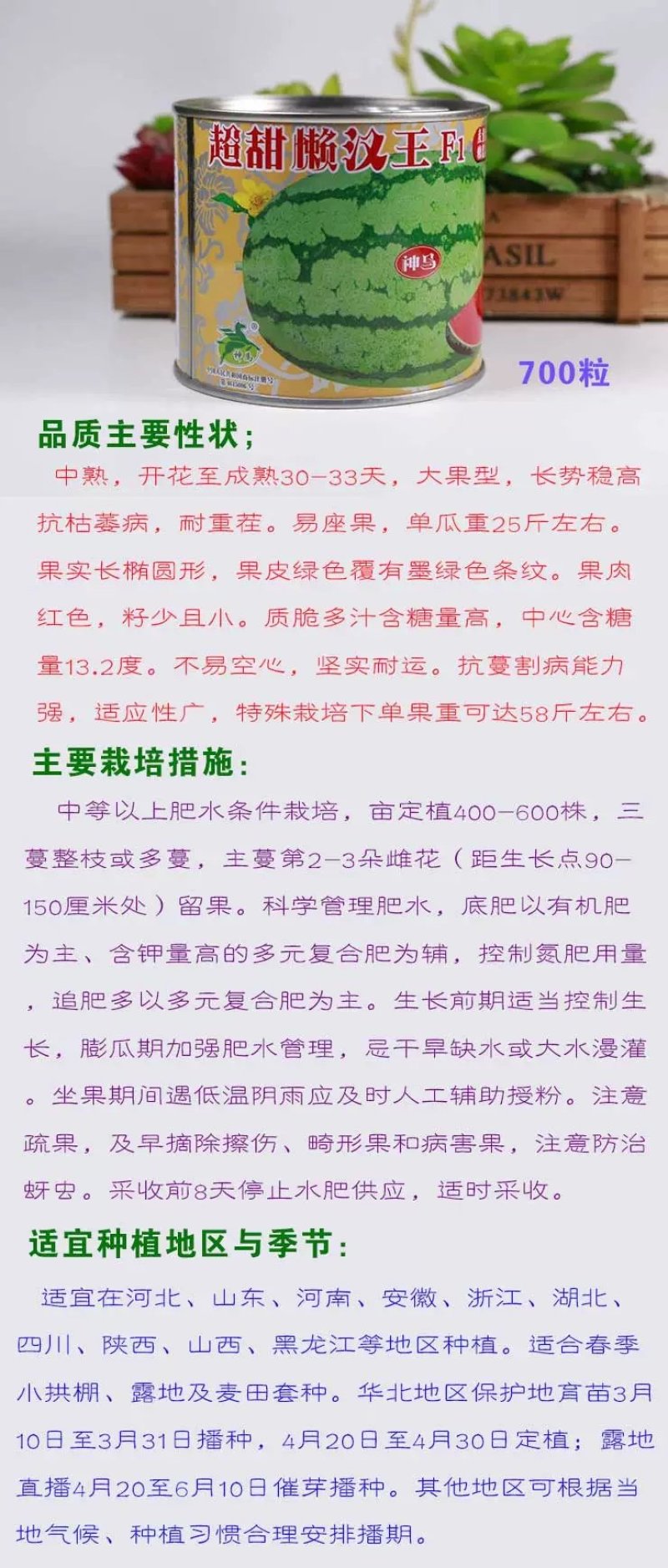 西瓜种子超甜懒汉王中熟花皮椭圆红心甜水果种子春季原装铁罐
