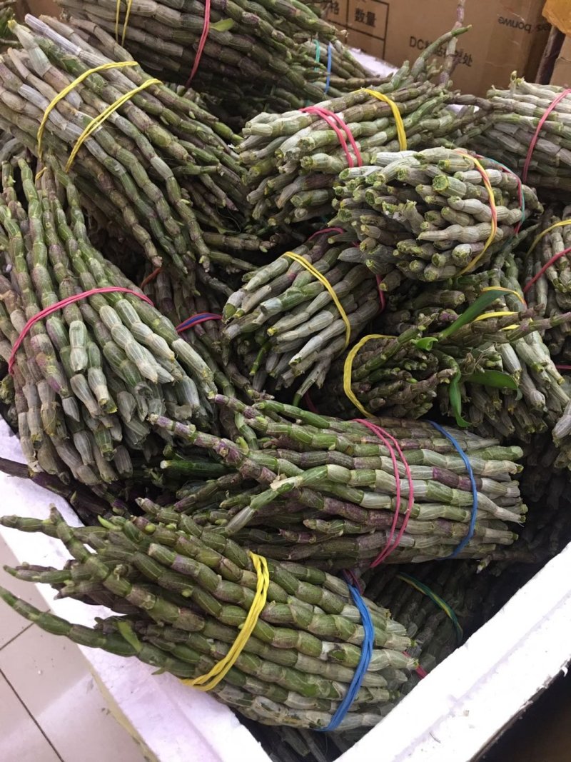 【爆款】浙江铁皮石斛鲜条，特级特粗短条量大从优