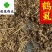 鹤虱统货发货前过筛子供应各种中药材看规格下单
