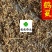 鹤虱统货发货前过筛子供应各种中药材看规格下单